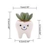 PZTcCute-Tooth-Flowerpots-Ceramic-Garden-Pots-Planters-Succulent-Cactus-Vases-Decor-Home-Garden-Decorative-Tabletop-Plant.jpg