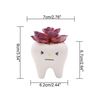 TbltCute-Tooth-Flowerpots-Ceramic-Garden-Pots-Planters-Succulent-Cactus-Vases-Decor-Home-Garden-Decorative-Tabletop-Plant.jpg