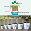 bkwHLazy-Flower-Pot-Automatic-Water-Absorbing-Flowerpot-Transparent-Plastic-Self-Watering-Planter-Plants-Nursery-Pods-Flowerpot.jpeg
