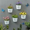 Wn7BWall-Hanging-Planter-Plant-Pot-Flower-Basket-Garden-Succulent-Container-Metal-Iron-Flower-Holder-Home-Balcony.jpg