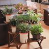 fULpLazy-Hydroponic-Flower-Pot-Water-Absorbing-Flowerpot-Succulent-Plant-Pot-Plastic-Self-Watering-Planter-Living-Room.jpg