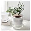 0icpHanging-Flowerpot-Self-Absorbing-Water-Hanging-Planter-Thickened-Plastic-Planter-Hydroponic-Soil-Cultivation-Lazy-Flower-Pot.jpg