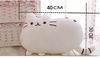 IvvE40-30cm-Kawaii-Cat-Pillow-With-Zipper-Only-Skin-Without-PP-Cotton-Biscuits-Plush-Animal-Doll.jpg