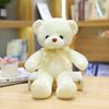 ExMx30cm-16-Styles-Bear-Plush-Toy-Soft-Stuffed-Animal-Doll-Small-Pink-Gray-White-Teddy-Bear.jpg