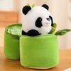 qmahNEW-Kawaii-Bamboo-Tube-Panda-Set-Plush-Toy-Cute-Plushies-Stuffed-Animal-Bear-Doll-Reversible-Design.jpg
