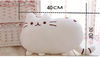 TSnk40-30cm-Kawaii-Cat-Pillow-With-Zipper-Only-Skin-Without-PP-Cotton-Biscuits-Plush-Animal-Doll.jpg
