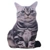 PlUo3D-Cat-Figures-Pillows-Soft-Simulation-Cat-Shape-Cushion-Sofa-Decoration-Throw-Pillows-Cartoon-Plush-Toys.jpg