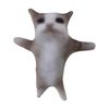 VOYFHappy-Cat-Plush-Stuffed-Animal-Cat-With-Sound-11-8inch-Cute-Cat-Plush-Interactive-Cat-Plush.jpg