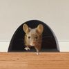RIUH5pcs-3D-Cartoon-Mouse-Wall-Sticker-Mouse-Hole-Mini-Door-Home-Decor-Art-Wall-Decal-For.jpg