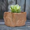 gtJ3Ceramic-Stone-Shape-Small-Plants-Pot-Succulent-Plant-Flower-Pot-Bonsai-Cactus-Home-Living-Room-Decor.jpg