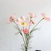 m6MjArtificial-Gesang-Flower-Single-Branch-4-Fork-Queen-Cosmos-Fake-Flower-Silk-Flower-Bouquet-Living-Room.jpeg