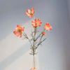 PcxVArtificial-Gesang-Flower-Single-Branch-4-Fork-Queen-Cosmos-Fake-Flower-Silk-Flower-Bouquet-Living-Room.jpeg