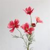 F9RTArtificial-Gesang-Flower-Single-Branch-4-Fork-Queen-Cosmos-Fake-Flower-Silk-Flower-Bouquet-Living-Room.jpeg