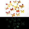 SZDF12-24pcs-3D-Luminous-Butterfly-Wall-Stickers-for-Home-Kids-Bedroom-Living-Room-Fridge-Wall-Decals.jpg