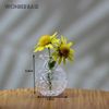 D9fDCreative-Cute-MINI-Glass-Vase-Plant-Hydroponic-Terrarium-Art-Plant-Hydroponic-Table-Vase-Glass-Crafts-DIY.jpg