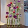 vX9OTest-Tube-Vases-High-Appearance-Glass-Ornaments-Fresh-Flowers-Hydroponic-Planters-Combination-Flower-Vase-Decorations.jpg