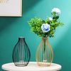 vfyqNordic-Styles-Home-Decoration-Desktop-Ornament-Geometric-Line-Frame-Iron-Art-Vase-Glass-Test-Tube-Hydroponic.jpg