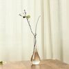 TVBsJapanese-Zen-Transparent-Glass-Vase-Simple-Glass-Plant-Flower-Vases-Creative-Hydroponic-Terrarium-Table-Decorative-Flower.jpg