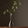 Fz5eJapanese-Zen-Transparent-Glass-Vase-Simple-Glass-Plant-Flower-Vases-Creative-Hydroponic-Terrarium-Table-Decorative-Flower.jpg