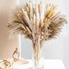 hsoe105pcs-Natural-Dried-Flowers-Pampas-Floral-Bouquet-Boho-Country-Home-Decoration-Rabbit-Tail-Grass-Reed-Wedding.jpg