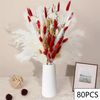 huaj105pcs-Natural-Dried-Flowers-Pampas-Floral-Bouquet-Boho-Country-Home-Decoration-Rabbit-Tail-Grass-Reed-Wedding.jpg