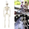 u1RLSkeleton-Halloween-Decorations-40cm-Posable-Funny-Lifelike-Plastic-Skeletons-for-Haunted-House-Graveyard-Scene-Party-Props.jpg