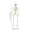MoKgSkeleton-Halloween-Decorations-40cm-Posable-Funny-Lifelike-Plastic-Skeletons-for-Haunted-House-Graveyard-Scene-Party-Props.jpg