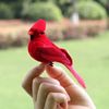 aXuq2pcs-Simulation-Feather-Birds-with-Clips-for-Garden-Lawn-Tree-Decor-Handicraft-Red-Birds-Figurines-Christmas.jpg