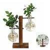 Rd61New-Terrarium-Hydroponic-Plant-Vases-Transparent-Bulb-Vase-Wooden-Frame-Glass-Tabletop-Plant-Bonsai-Decor-Vintage.jpg