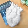 xroAVase-Container-Simulation-Anatomical-Heart-shaped-Dried-Flower-Pot-Art-Vase-Human-Statue-Desktop-Home-Decoration.jpg