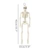 kzBySkeleton-Halloween-Decorations-40cm-Posable-Funny-Lifelike-Plastic-Skeletons-for-Haunted-House-Graveyard-Scene-Party-Props.jpg