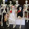 M2xcSkeleton-Halloween-Decorations-40cm-Posable-Funny-Lifelike-Plastic-Skeletons-for-Haunted-House-Graveyard-Scene-Party-Props.jpg