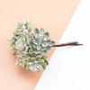 fAQS6PCS-Silk-Flowers-for-Scrapbooking-Artificial-Plants-for-Home-Wedding-Decoration-Fake-Plastic-Decorative-Christmas-Wreaths.jpg
