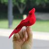 RBBe2pcs-Simulation-Feather-Birds-with-Clips-for-Garden-Lawn-Tree-Decor-Handicraft-Red-Birds-Figurines-Christmas.jpg
