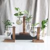 Oh2HCreative-Glass-Desktop-Planter-Bulb-Vase-Wooden-Stand-Hydroponic-Plant-Container-Home-Tabletop-Decor-Vases.jpg