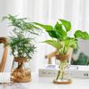 9LRTHydroponic-Plant-Home-Vase-Decor-Transparent-Hydroponic-Flower-Pot-Soilless-Plant-Pots-Office-Desktop-Green-Plants.jpg
