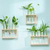 KDoCHydroponic-Plants-Container-with-Wood-Frame-Transparent-Glass-Test-Tube-Vase-Flower-Pot-Home-Tabletop-Bonsai.jpg