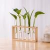 2ipIHydroponic-Plants-Container-with-Wood-Frame-Transparent-Glass-Test-Tube-Vase-Flower-Pot-Home-Tabletop-Bonsai.jpg