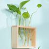 w6sBHydroponic-Plants-Container-with-Wood-Frame-Transparent-Glass-Test-Tube-Vase-Flower-Pot-Home-Tabletop-Bonsai.jpg