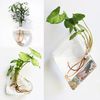 ODalFashion-Wall-Hanging-Glass-Flower-Vase-Terrarium-Wall-Fish-Tank-Aquarium-Container-Flower-Planter-Pots-Home.jpg
