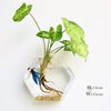 oy3dFashion-Wall-Hanging-Glass-Flower-Vase-Terrarium-Wall-Fish-Tank-Aquarium-Container-Flower-Planter-Pots-Home.jpg