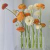 nz2yTest-Tube-Vases-High-Appearance-Glass-Ornaments-Fresh-Flowers-Hydroponic-Planters-Combination-Flower-Vase-Decorations.jpg