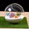 R2cXMicro-Landscape-Glass-Bottles-Creativity-Dew-Collection-Glass-Vase-Succulent-Plant-Terrarium-Container-Flower-Pots-Home.jpeg