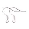 9J6b50pcs-925-Sterling-Silver-Plated-Earrings-Hooks-Hypoallergenic-Anti-Allergy-Earring-Clasps-Lot-For-Diy-Jewelry.jpg