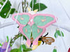 insects-bugs-baby-crib-mobile-nursery-decor-8.jpg