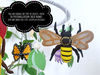 insects-bugs-baby-crib-mobile-nursery-decor-11.jpg