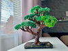 Lifelike-Bonsai-Tree.jpeg