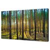 Sunset In Scots Pine Forest Modern Landscape Design Home Decor Canvas Print Wall Art Picture Wall Hanging.jpg