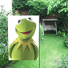 Kermit Garden Flag.png