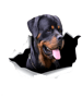 rottweiler -cute giftrottweiler for mom,dad,women and men .png